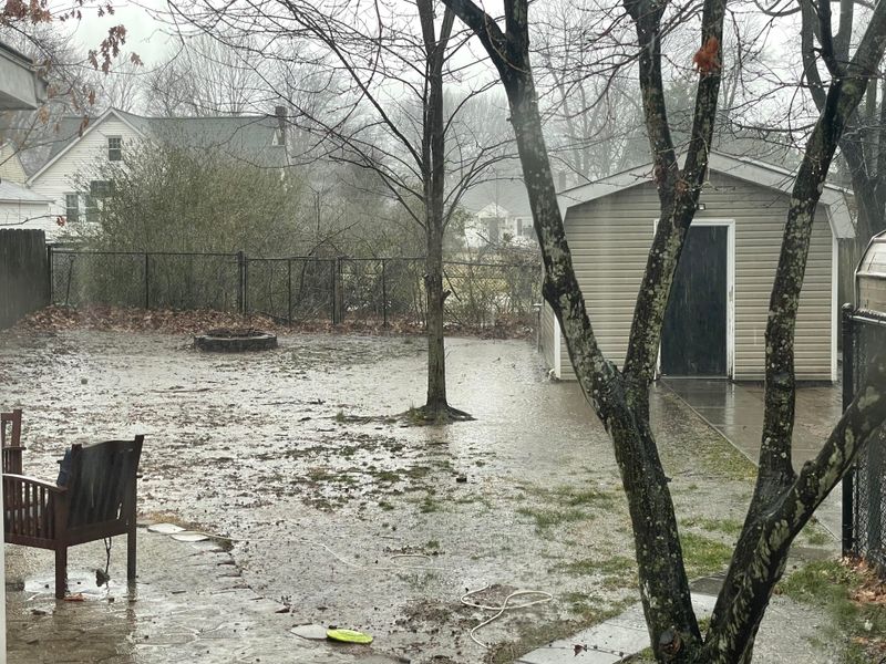 Why Sandy Soil And Heavy Rain Don't Mix