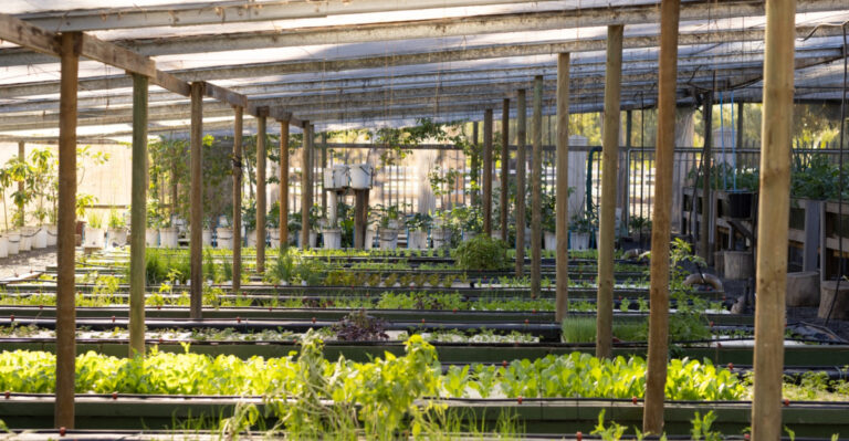 Why Shade Cloth Is Showing Up On Colorado Raised Beds This Summer