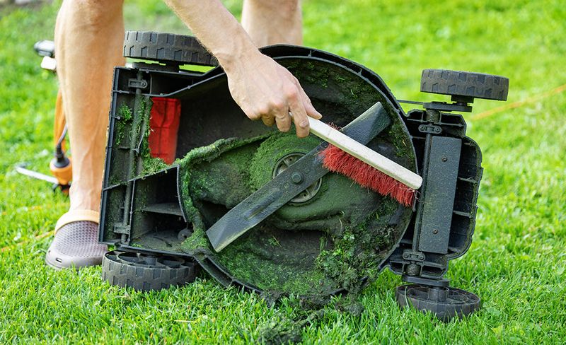 Why Sharp Blades Matter In Hot Weather