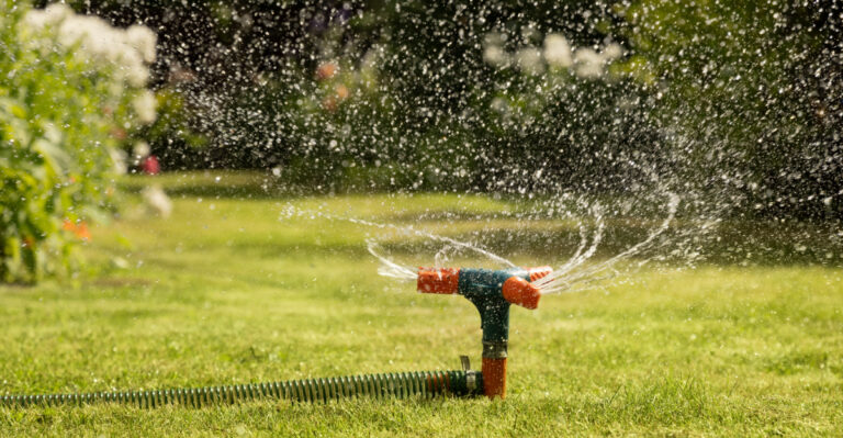 Why Some Colorado Yards Suffer More In Summer Heat Than Others