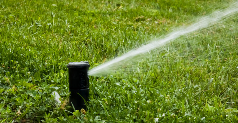 Why Texans Should Never Run Automatic Sprinklers Right After Summer Storms