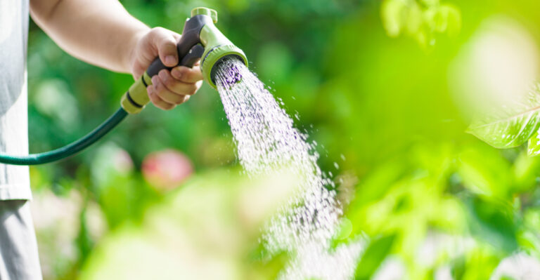 Why Texas Gardeners Are Transitioning To Deep Irrigation As Summer Heat Spikes