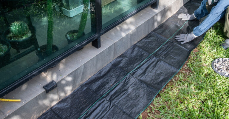 Why Texas Gardeners Are Using Clear Plastic To Bake Their Lawns This Summer