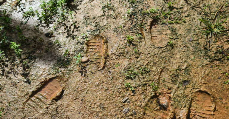 Why Texas Gardeners Avoid Walking On Wet Clay Soil After Heavy Summer Storms