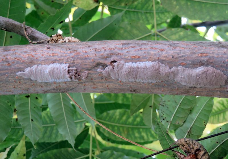 Why The Eggs Matter Next Spring