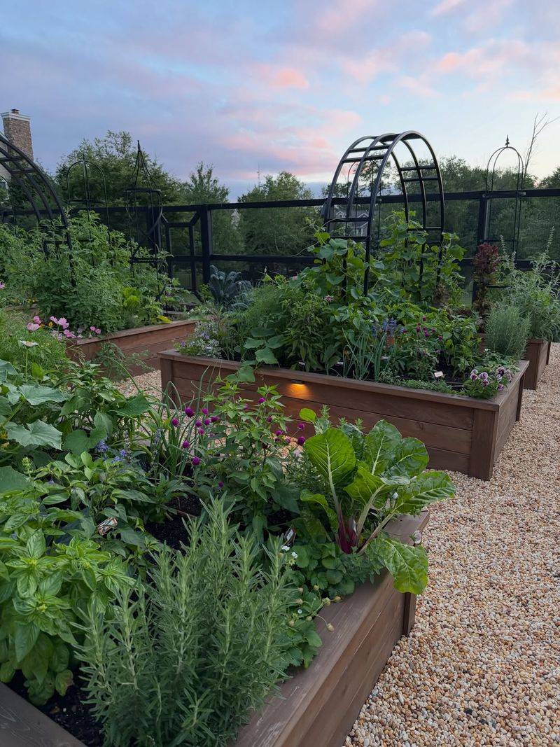 Why The Kitchen Garden Disappeared From Many Yards