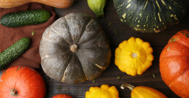 Why This Is The Week Texans Start Fall Squash And Cucumber Seeds