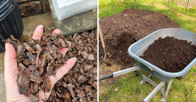 Why This Mulch Choice Is Not Ideal For Arizona Gardens