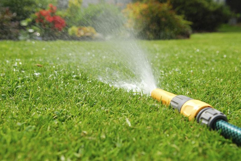 Why Watering Makes It Worse Why Watering Makes It Worse