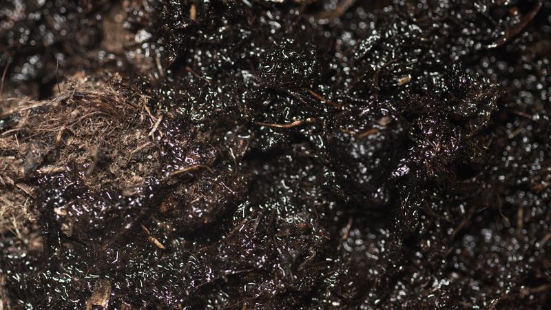 Why Wet Soil Compacts So Easily After Storms