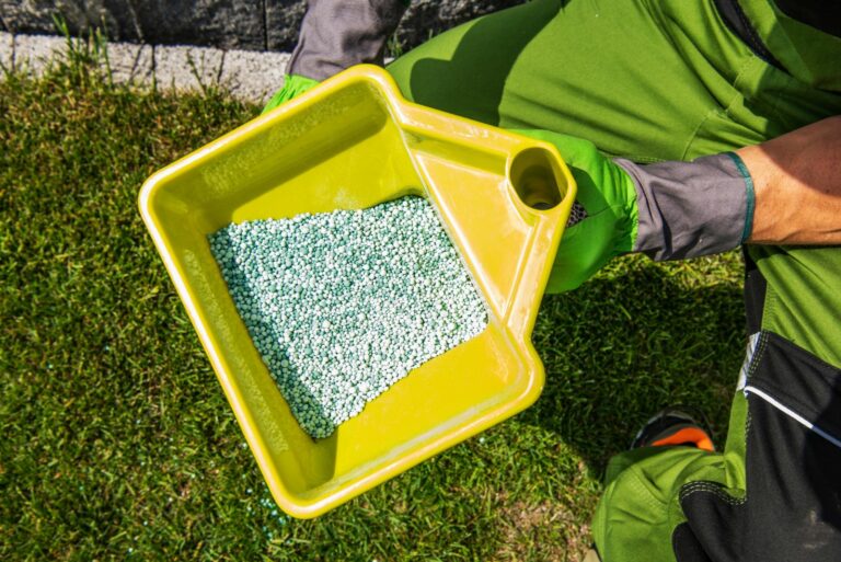 fertilizing lawn