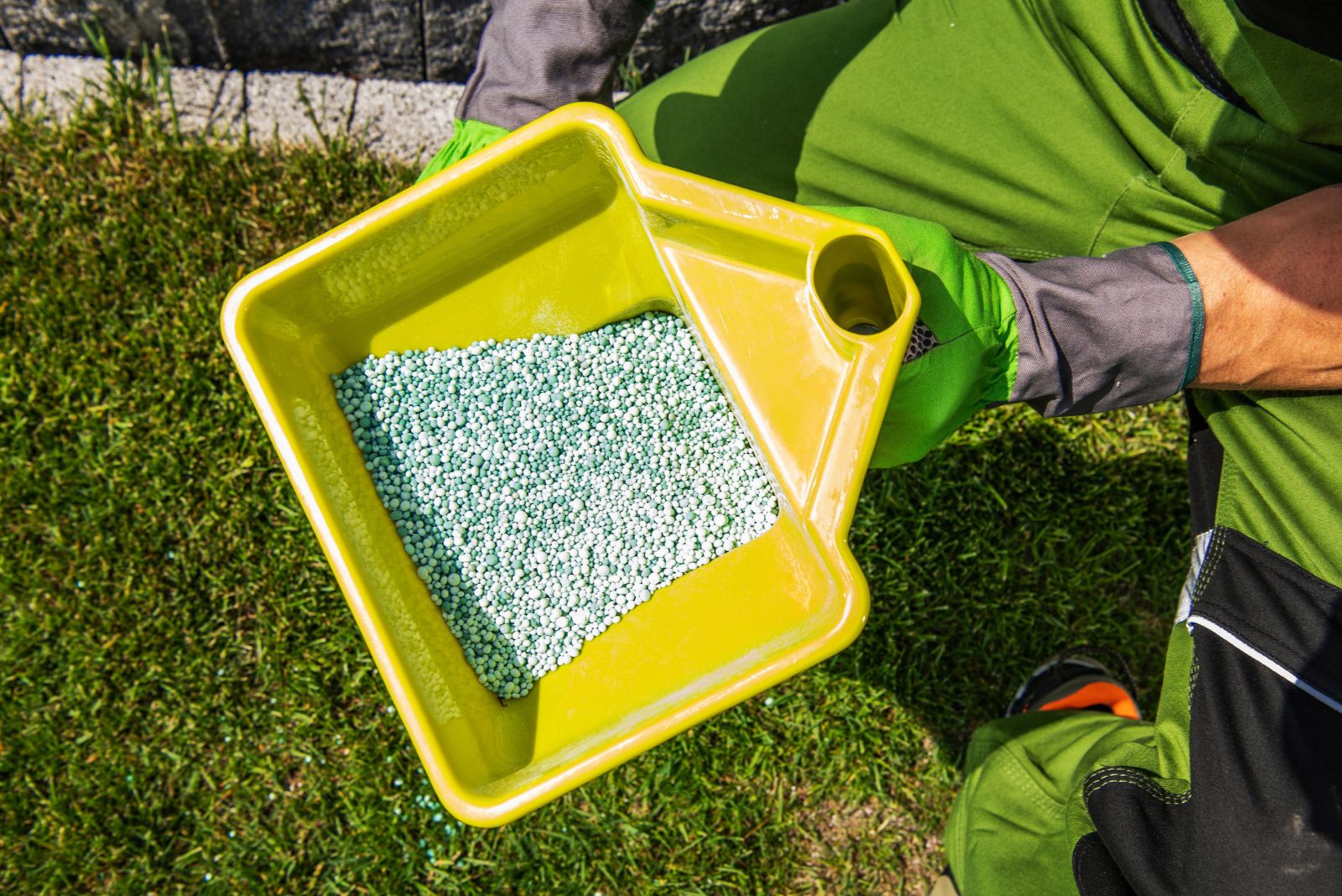 fertilizing lawn