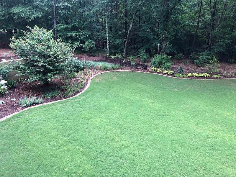 Widen Beds Where Turf Keeps Winning Widen Beds Where Turf Keeps Winning