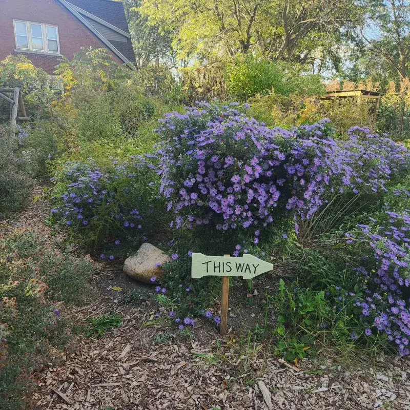 Wild Michigan Habitats Explain Its Toughness Wild Michigan Habitats Explain Its Toughness