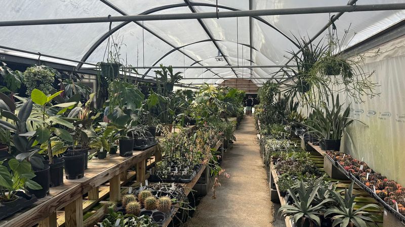 Wild Roots Nursery - New Braunfels