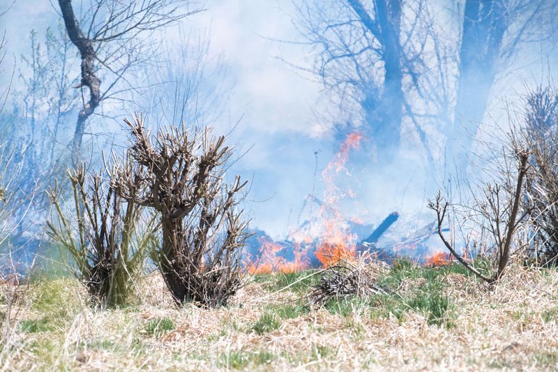 Wildfires And Dry Air Add More Stress