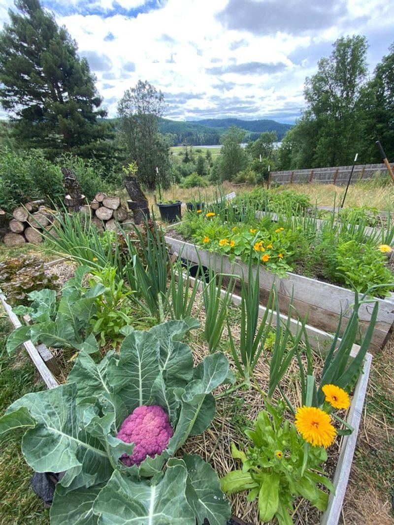 Willamette Valley: Water Deep Before Heat Peaks