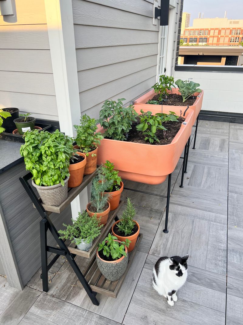 Wind Exposure Requires Different Plant And Container Choices Wind Exposure Requires Different Plant And Container Choices