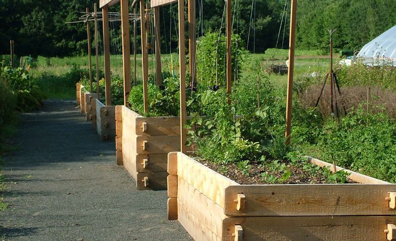 Wind Reaches The Sides Of Raised Beds Wind Reaches The Sides Of Raised Beds