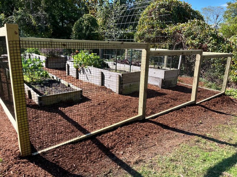 Wire Fencing Creates A Reliable Barrier Wire Fencing Creates A Reliable Barrier
