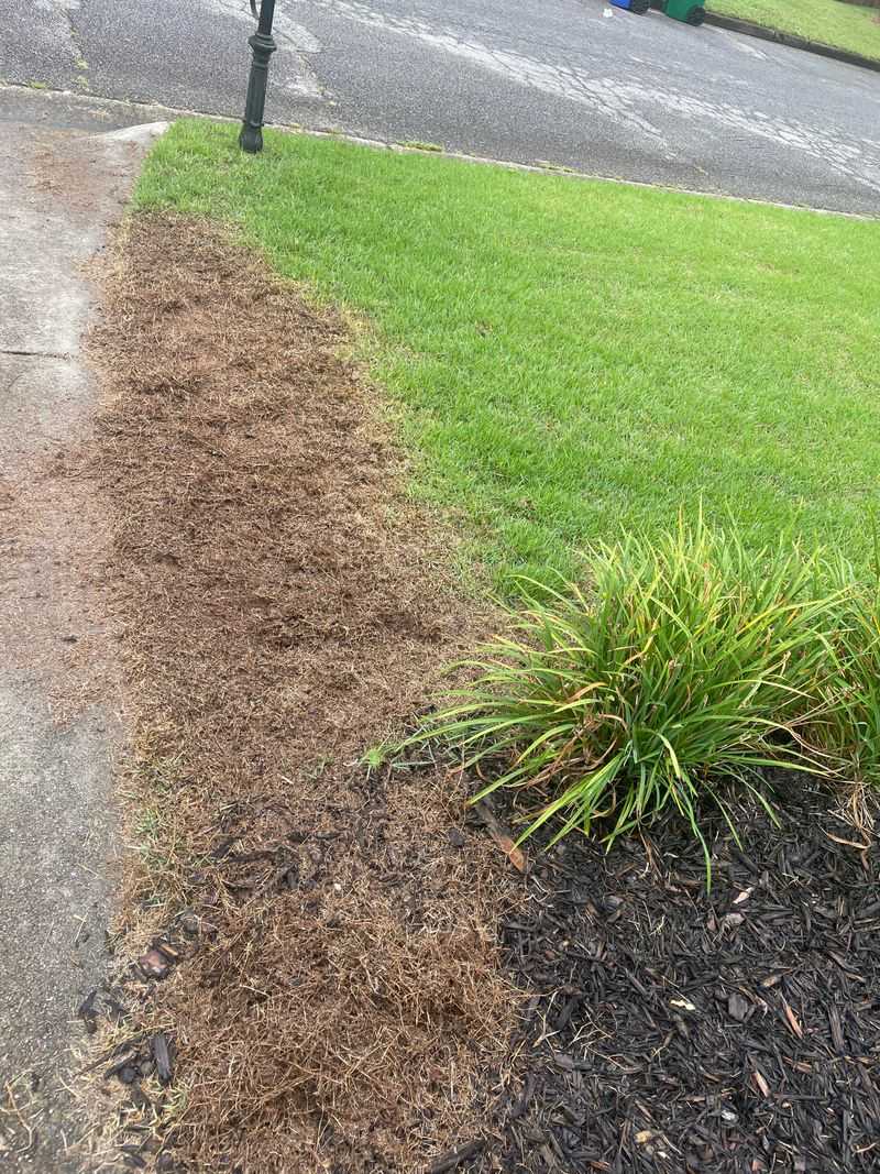 Withered Grass Turns Driveways Into Fuse Lines
