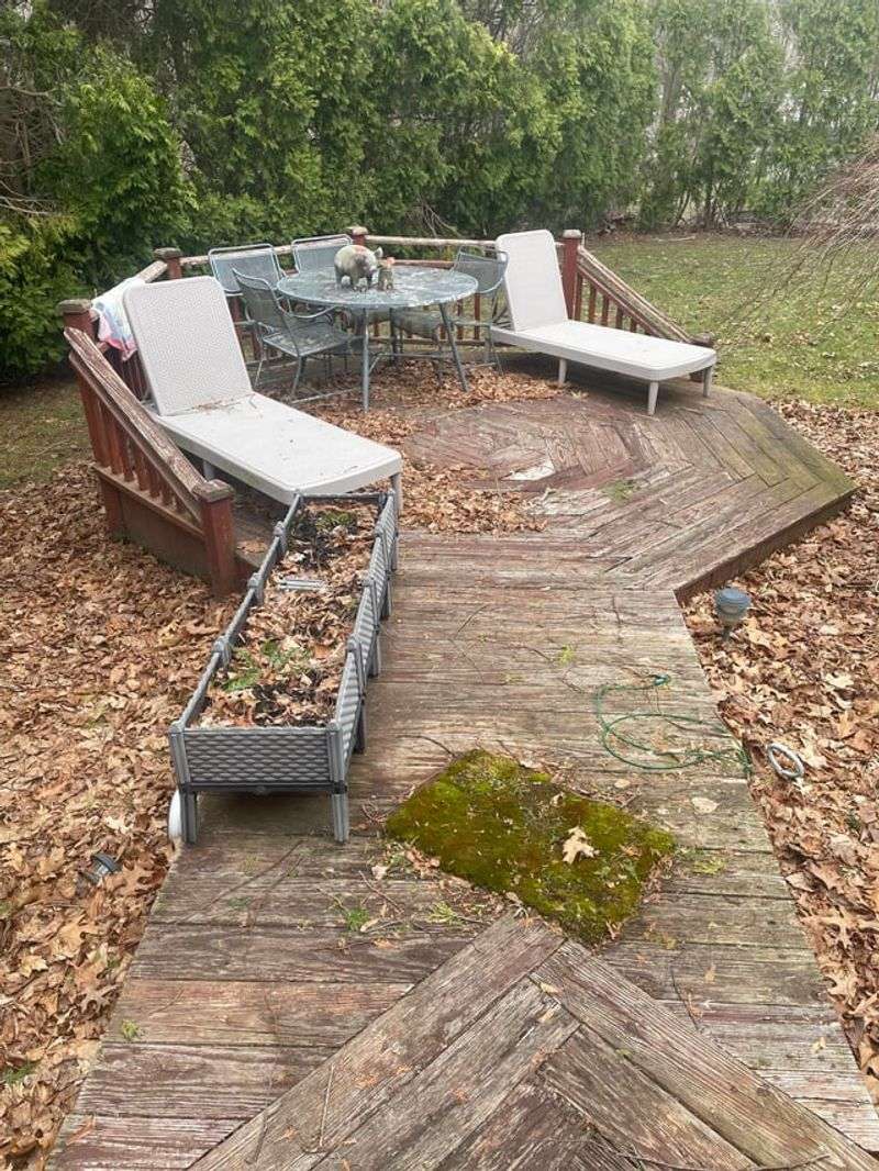 Withered Leaves Collect Beneath Furniture Withered Leaves Collect Beneath Furniture