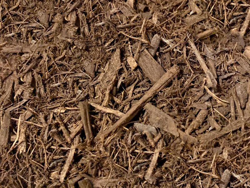 Wood Chips Keep Roots Cooler Wood Chips Keep Roots Cooler