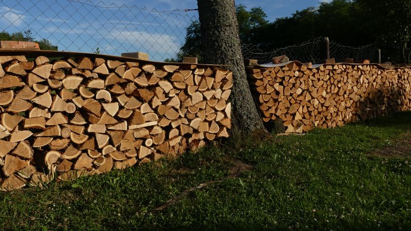Wood Piles Stacked Against Fences