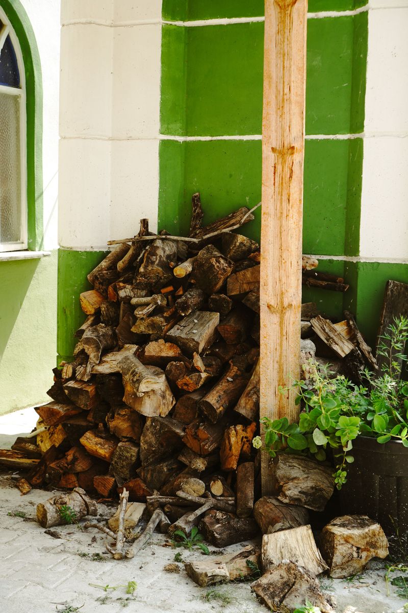 Woodpiles And Mulch Make Cozy Hiding Spots Woodpiles And Mulch Make Cozy Hiding Spots