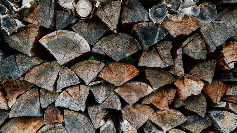 Woodpiles And Stacked Firewood Attract Black Widows