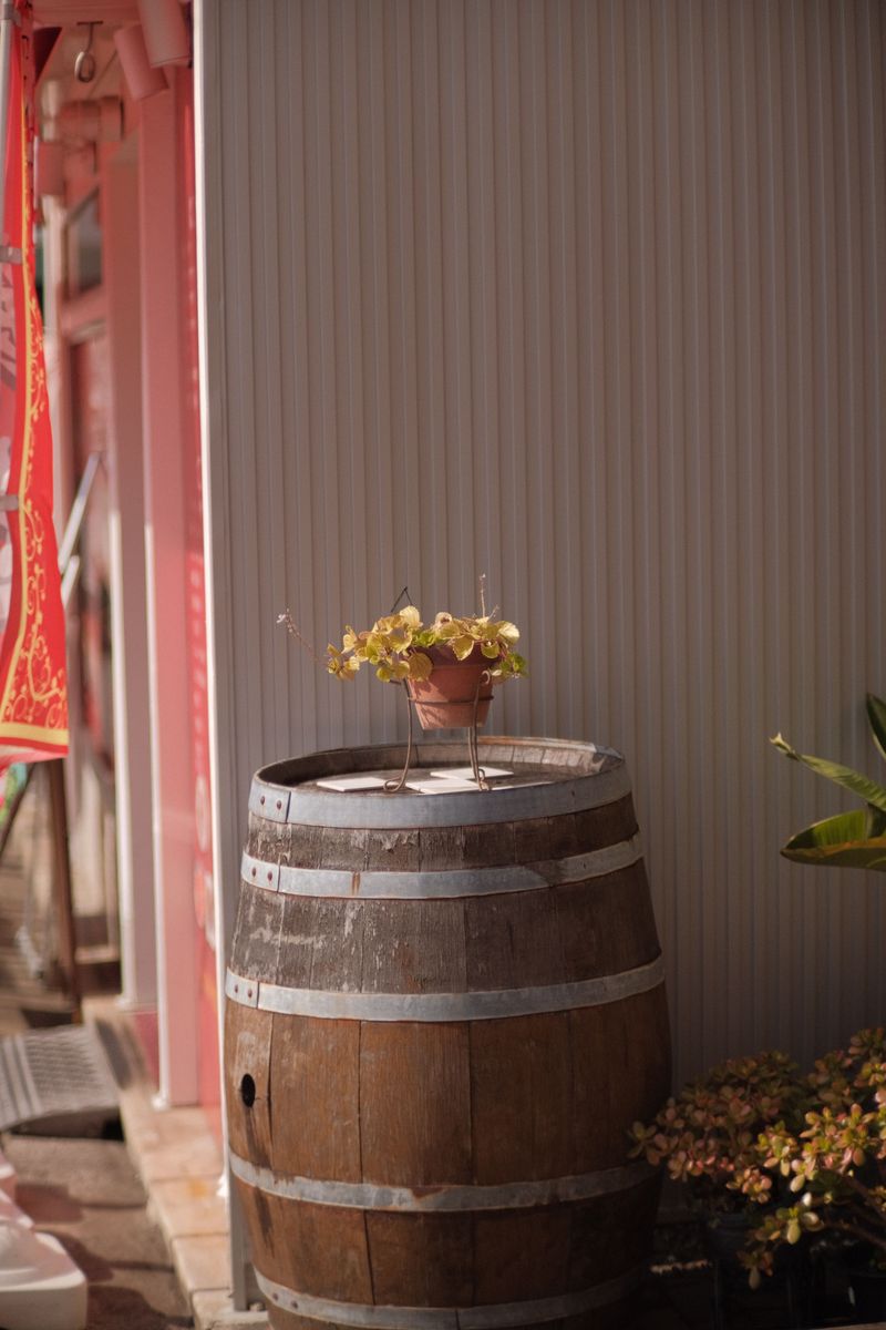 Wrap It With A Wooden Barrel Planter Wrap It With A Wooden Barrel Planter