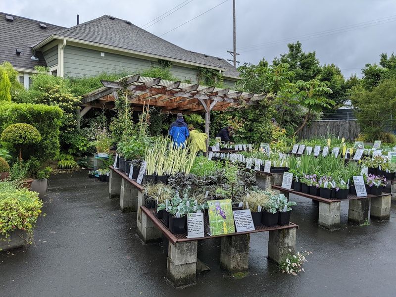 Xera Plants Hides Serious Native Picks In Portland Xera Plants Hides Serious Native Picks In Portland