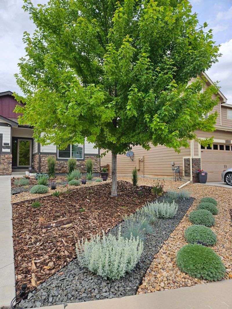 Xeriscaping Has More Legal Protection Than Messy Beds Xeriscaping Has More Legal Protection Than Messy Beds