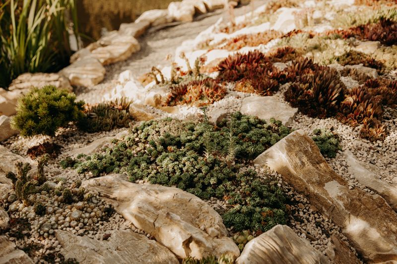 Xeriscaping Is Gaining Ground Fast Xeriscaping Is Gaining Ground Fast