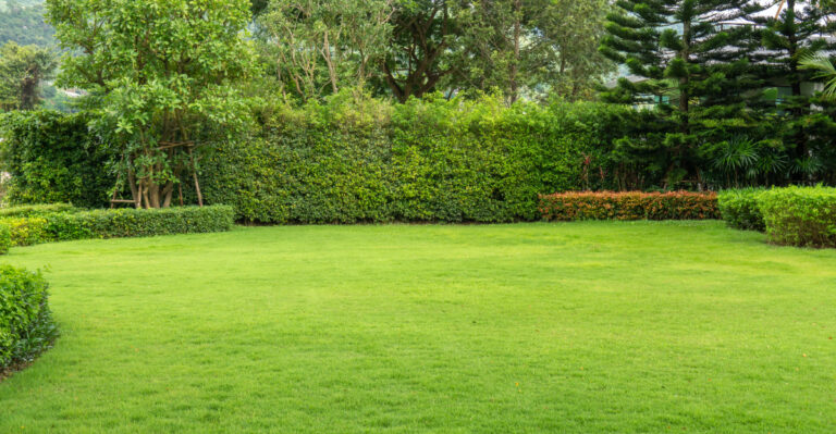 Yard Habits Hurting The Chesapeake Bay That Maryland Homeowners Should Reconsider This July