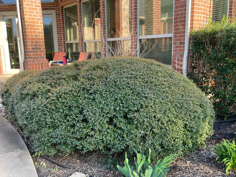 Year Round Structure For Entryways And Beds Year Round Structure For Entryways And Beds