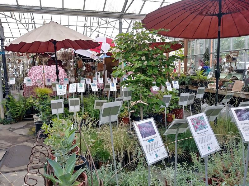 Yerba Buena Nursery — Half Moon Bay, CA Yerba Buena Nursery — Half Moon Bay, CA
