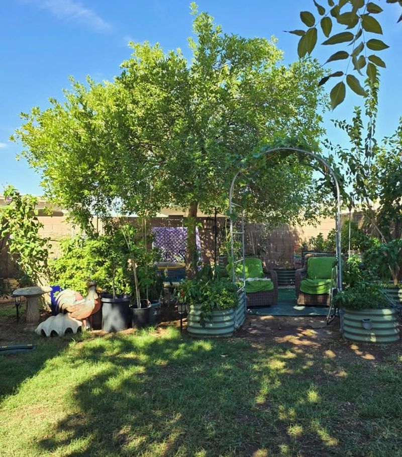 Young Trees Need Extra Care Around Power Equipment Young Trees Need Extra Care Around Power Equipment