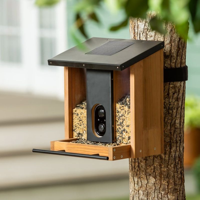 Your Bird Feeder Is Too Far From Protective Cover