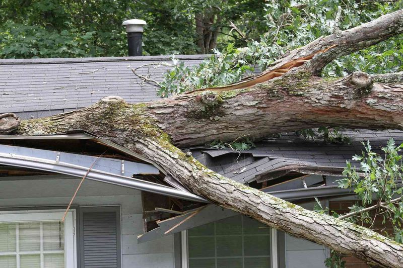 Your Homeowners Insurance May Pay First