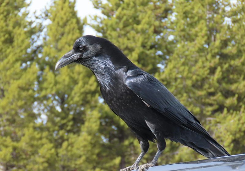 Your Property Offers A Useful Lookout Point