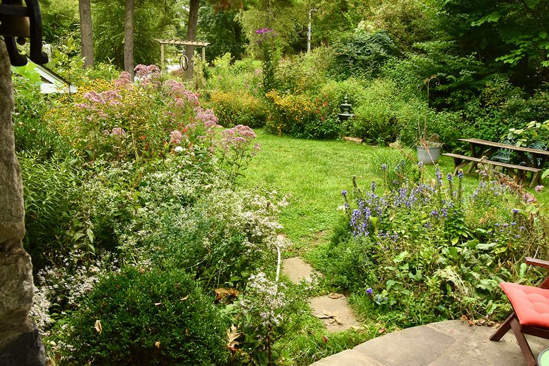 Your Yard May Be Near Open Woodland Habitat
