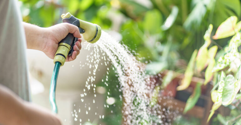 The Extreme Heat Warning Near Austin Means Changing This Crucial Garden Habit