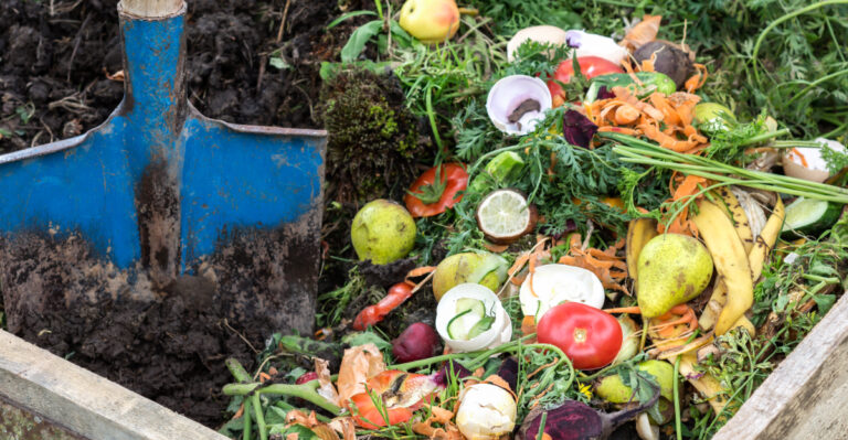 The Compost Temperature Problem Michigan Gardeners Run Into During Cool, Wet Summers