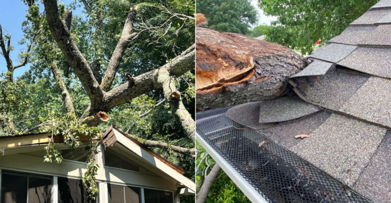 Who Pays When A California Neighbor’s Tree Damages Your Roof