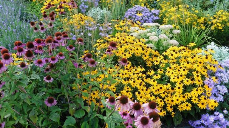 North Carolina Perennials You Plant Once And Never Have To Replace Again