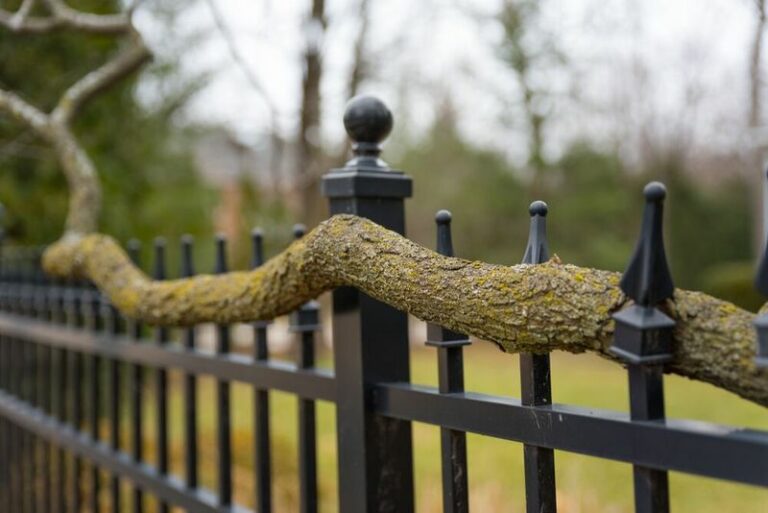 Why North Carolina Homeowners Should Know Where The Property Line Falls Before A Neighbor’s Tree Becomes A Problem