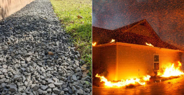 This Is The Defensible Space Zone Most California Homeowners Get Wrong