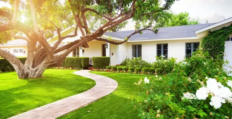 Better Front Yard Trees Than Crape Myrtle For North Carolina Homes From The Piedmont To The Coast