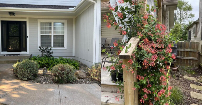 Is Your Front Door Landscaping Breaking California’s 5-Foot Fire Rule?